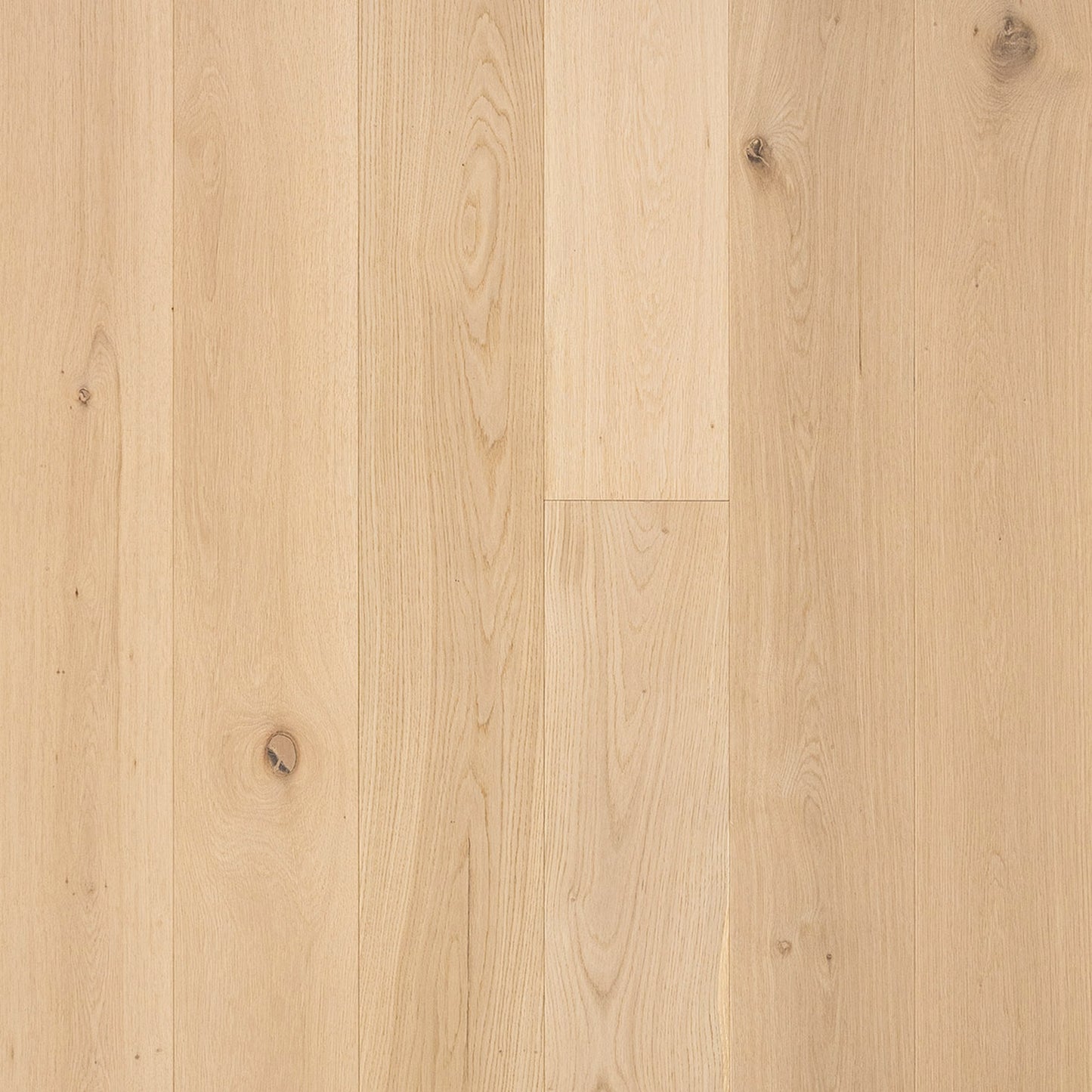 V4 Shore Drift Oak - My Store